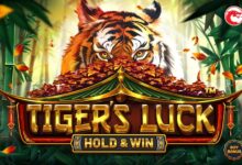 BTV168 Slot Games: Unleashing the Power of Luck and Strategy