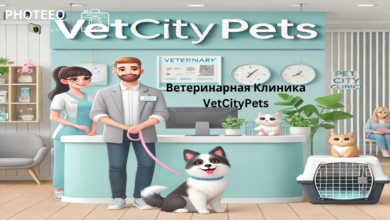 Ветеринарная Клиника VetCityPets