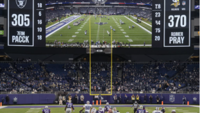 las vegas raiders vs minnesota vikings match player stats​