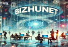 Bizhunet